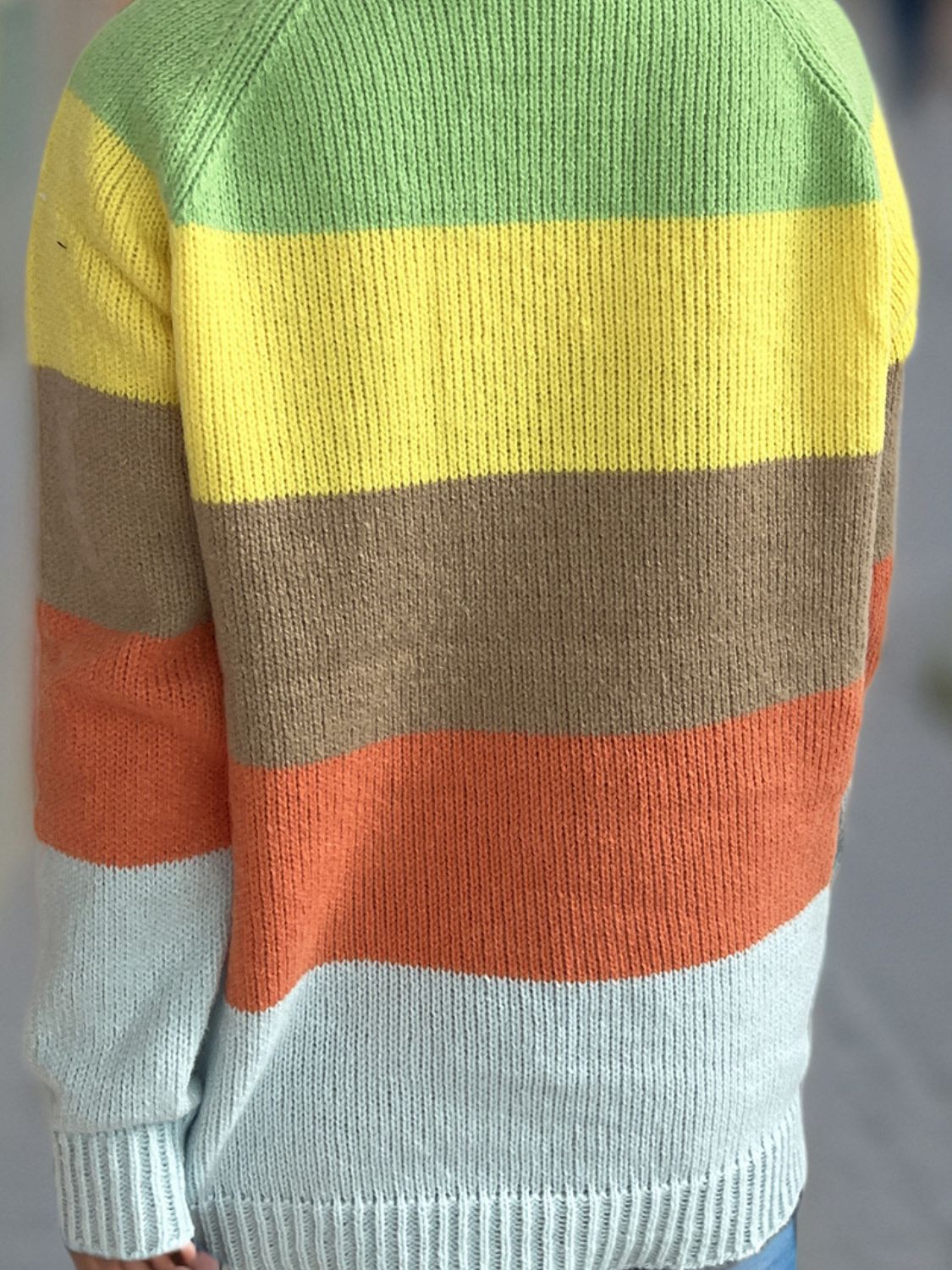 Color Block Round Neck Long Sleeve Sweater